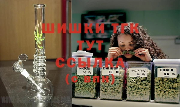 мяу мяу мука Баксан