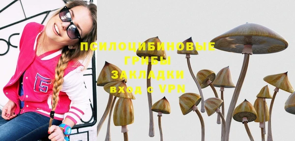 мяу мяу мука Баксан
