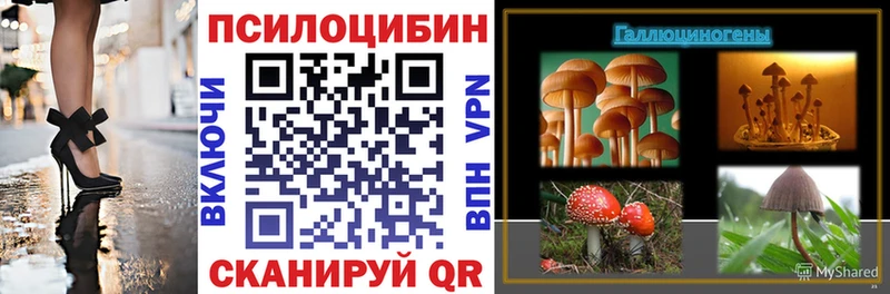 цена   Первомайск  Псилоцибиновые грибы MAGIC MUSHROOMS 